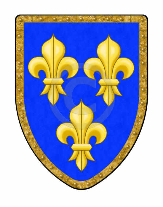 Fleur de Lis shield with blue and gold with brass colored rim