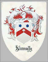 Nunnally heraldry version of coats of arms for the family