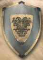 Carlos / Charles V Polished Shield