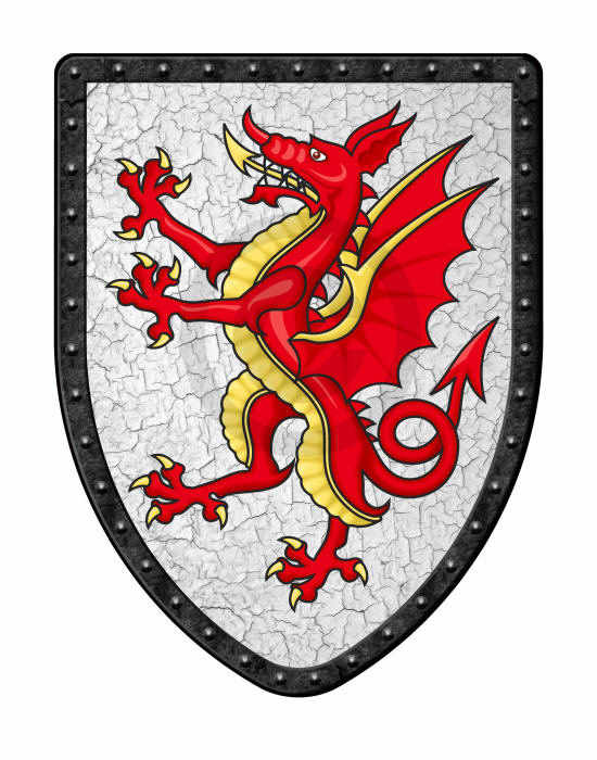 Tudor Dragon Shield