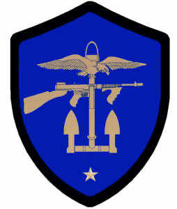 Military awards shield