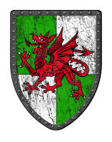 Quarterly Dragon shield