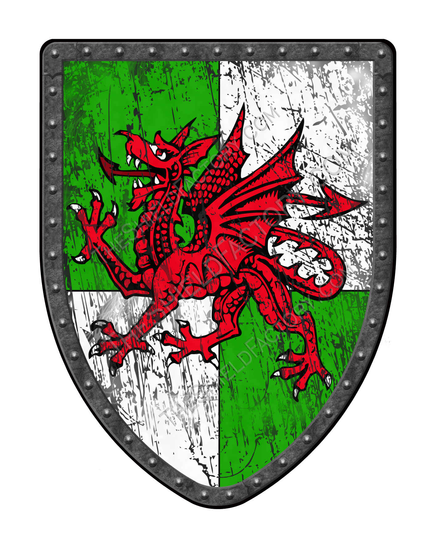 Medieval Dragon Shield, Hanging, Battle