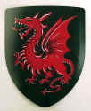 dragon shield