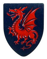 Medieval dragon shield