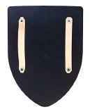 Hand held shield back side showing leather straps