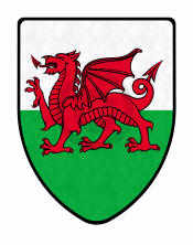 Welsh Dragon